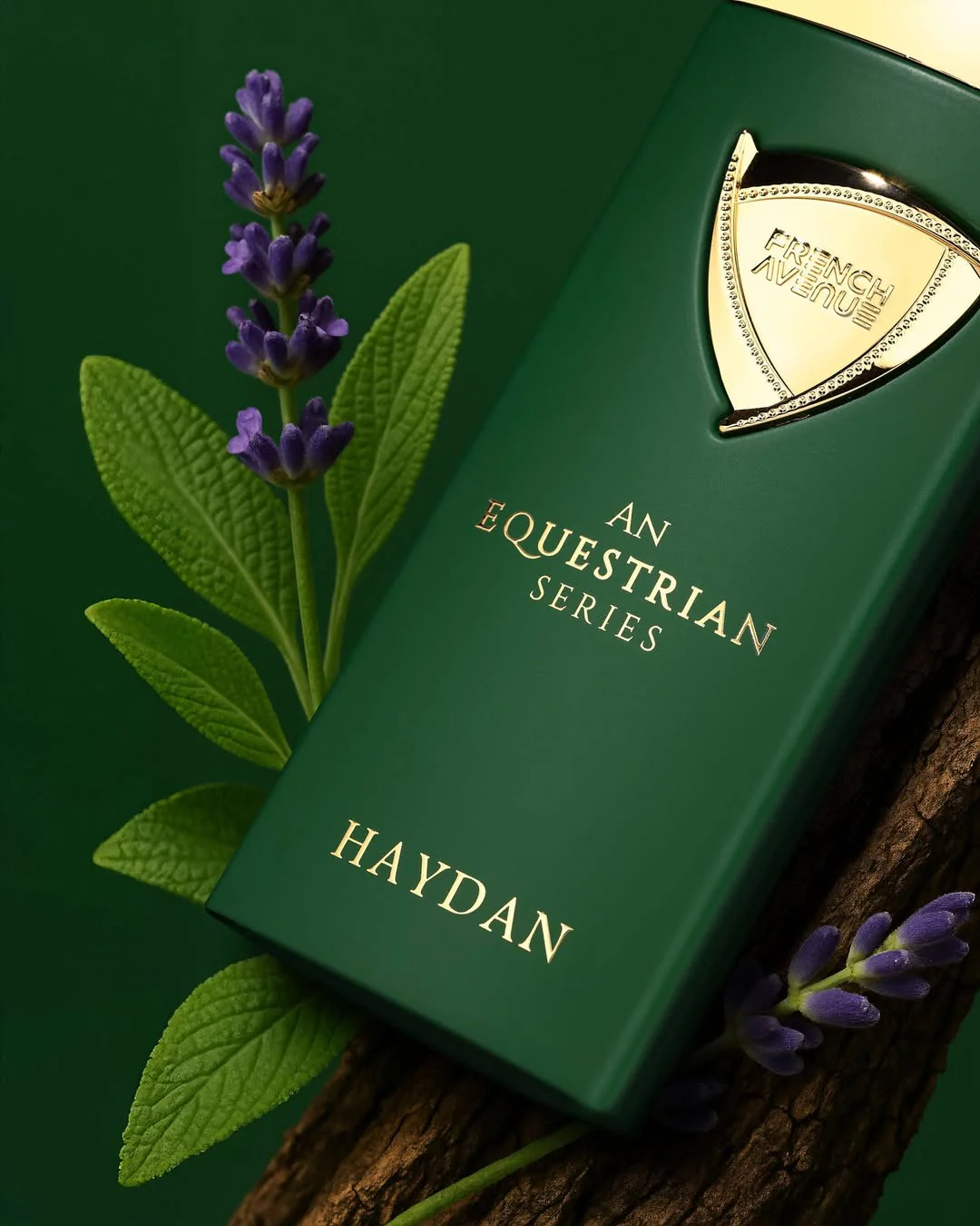 An Equestrian Series Haydan (Np664} Edp 100Mi -24Pcs